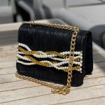 کیف مجلسی مشکی Turquoise